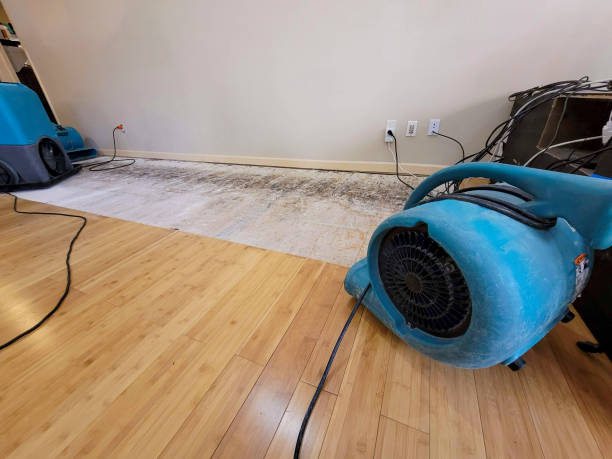 Professional Sewage Cleanup technician working in Spring Hill, TN